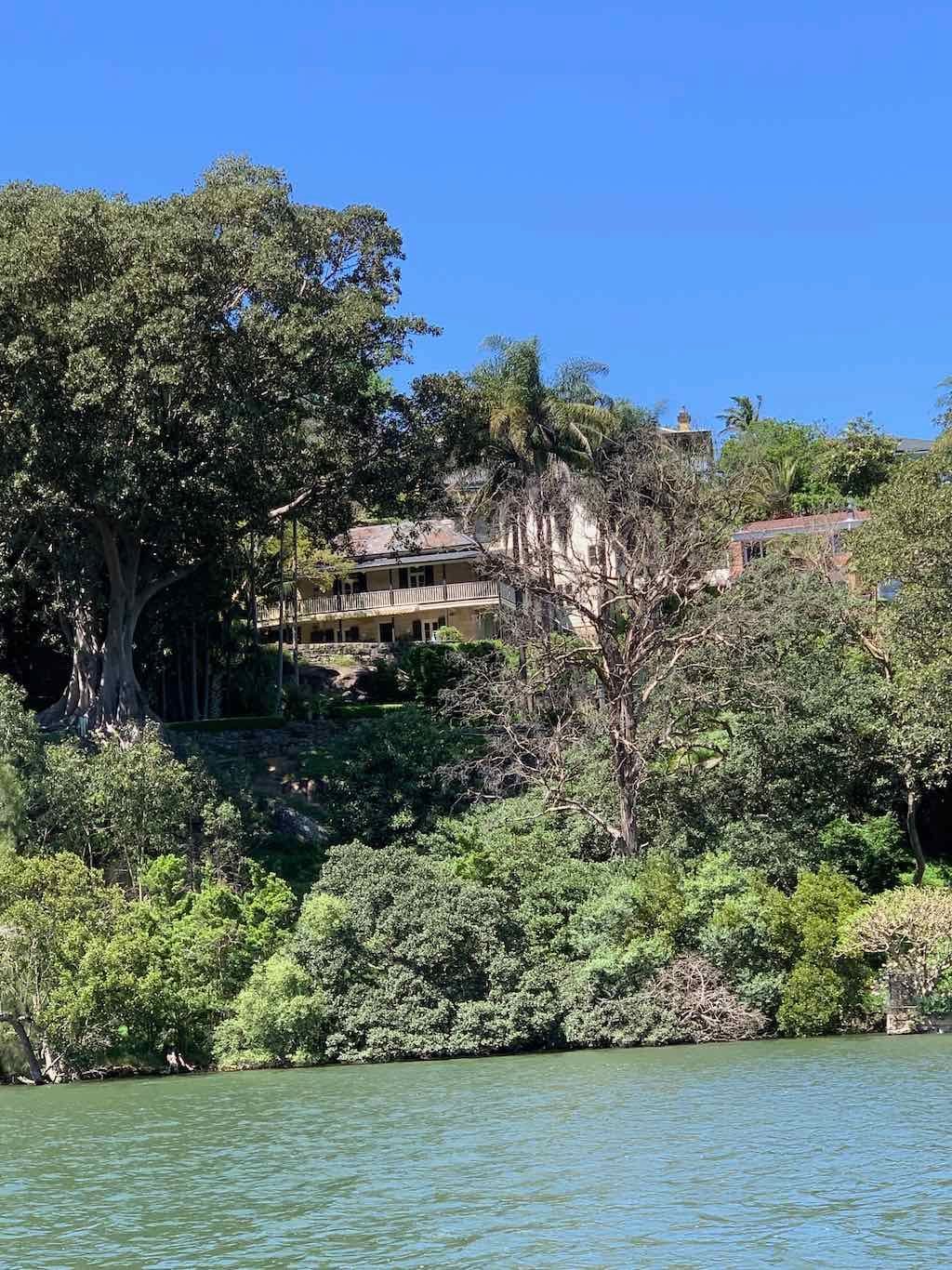 October 2022 Jacaranda Cruise Image -6361c87a59e7b